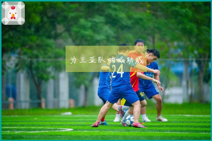 为三亚队呐喊助威