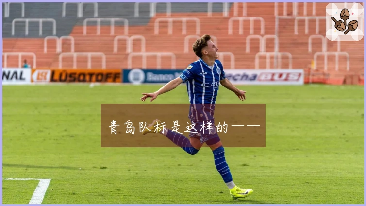 青岛队标是这样的——